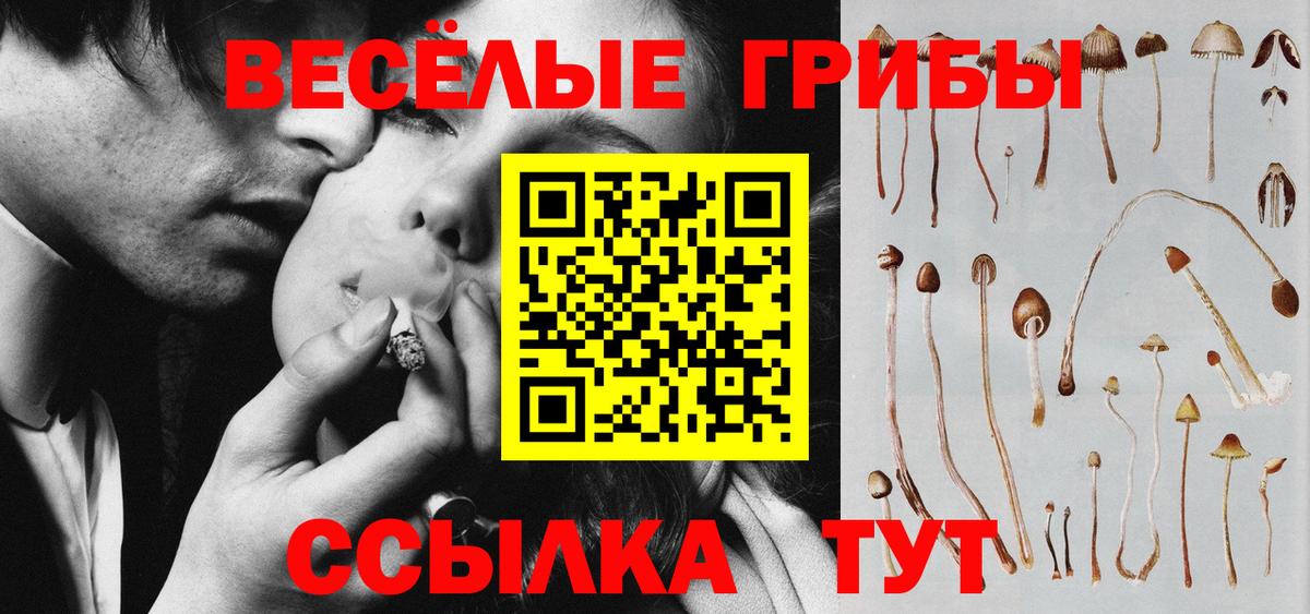 Псилоцибиновые грибы MAGIC MUSHROOMS  хочу   Долгопрудный  Вход с VPN 